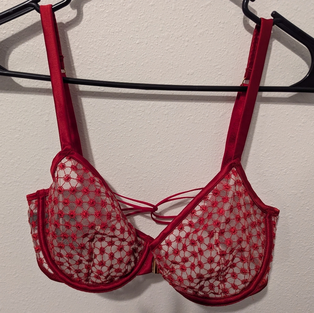 32DD Sexy Red Lace VS Bra